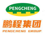 SHANDONG PENGCHENG GROUP